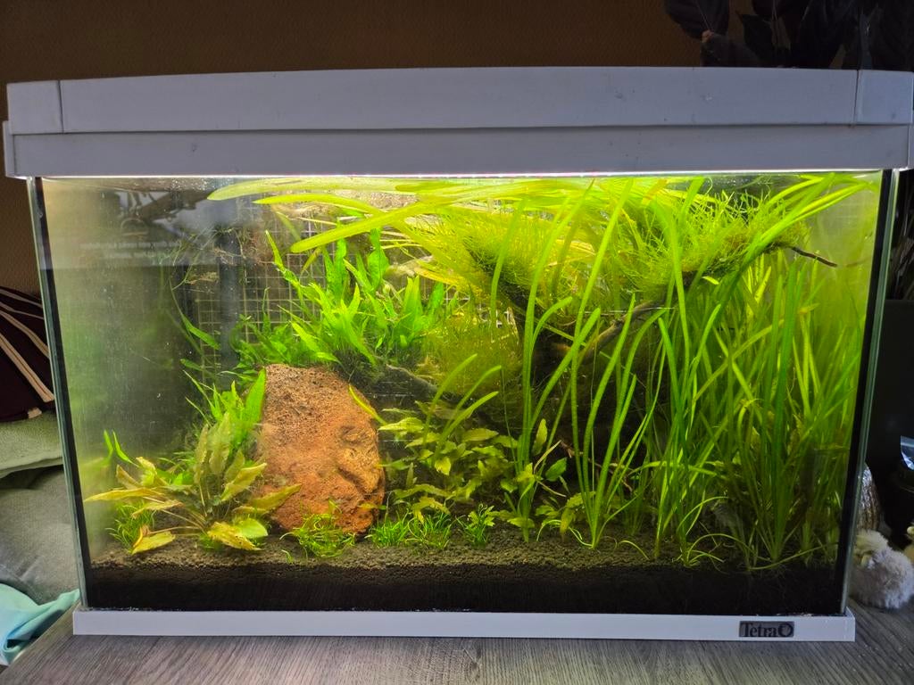Aquarium inc filtosmart extern filter/heater. Compleet inc, Ophalen, Gevuld zoetwateraquarium