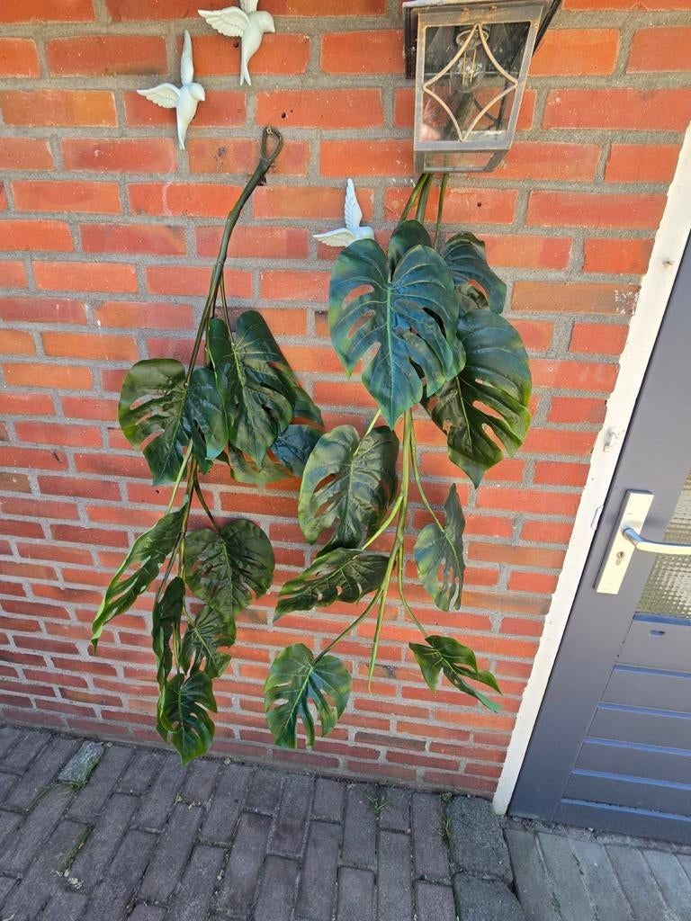 ONGEBRUIKTE KUNSTPLANT MONSTERA VAN REGINA FLORAL FEELINGS, Ophalen of Verzenden, Nieuw, Binnen
