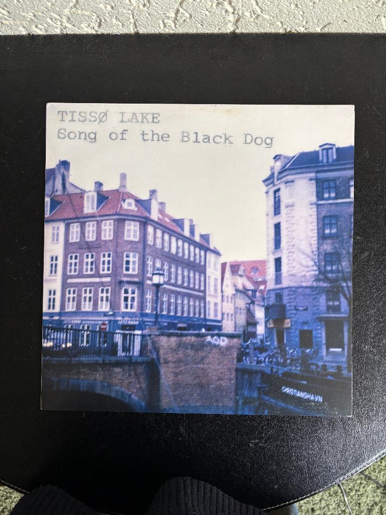 Tissø Lake - Song Of The Black Dog - 2008 - Britse persing, Cd's en Dvd's, Gebruikt, Alternative, 12 inch, Ophalen of Verzenden