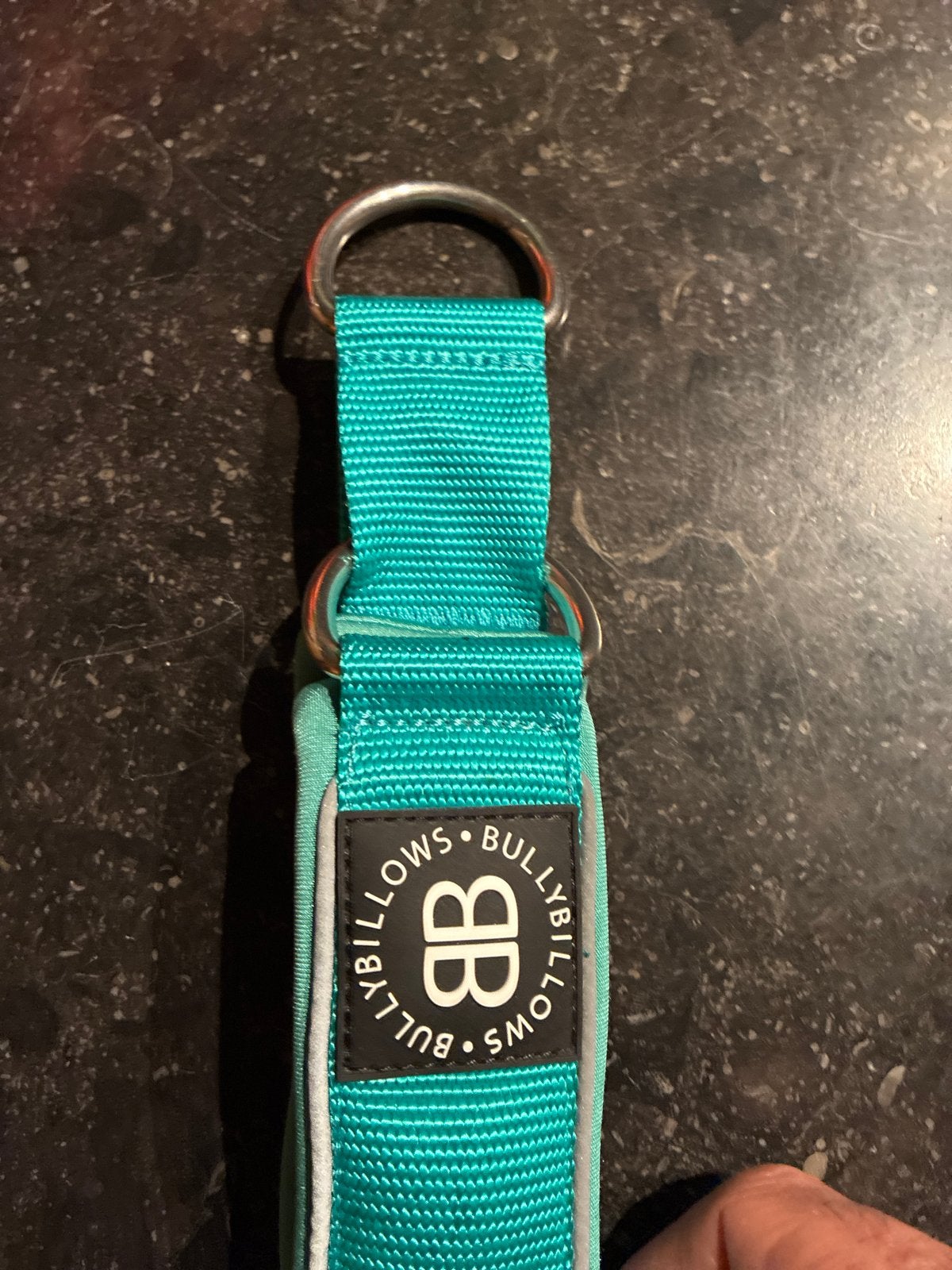 Bullybillows hondenhalsband, Ophalen of Verzenden, Nieuw