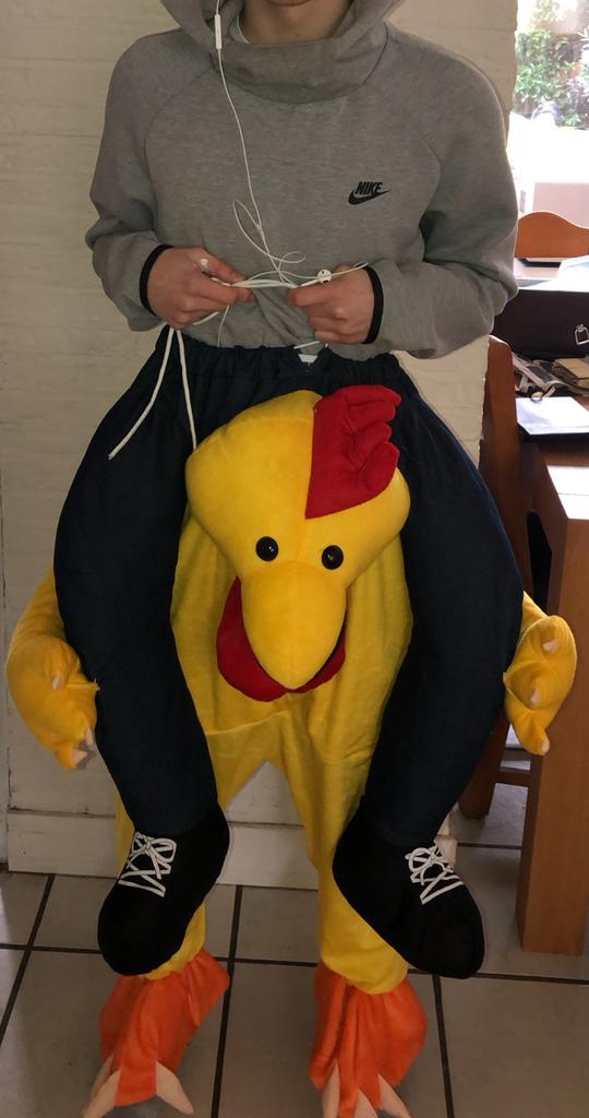 Grappig Kippenpak Carnaval - Draagbaar Kostuum, Ophalen of Verzenden, Gebruikt, Kostuum, Carnaval