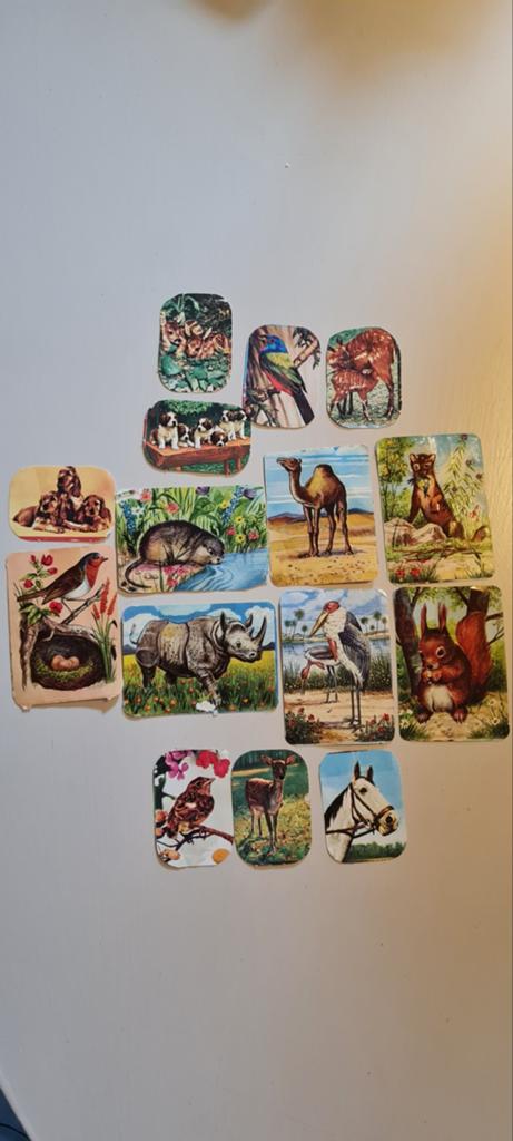Poëzie plaatjes dieren, Verzamelen, Ophalen of Verzenden, Beeldje of Figuurtje