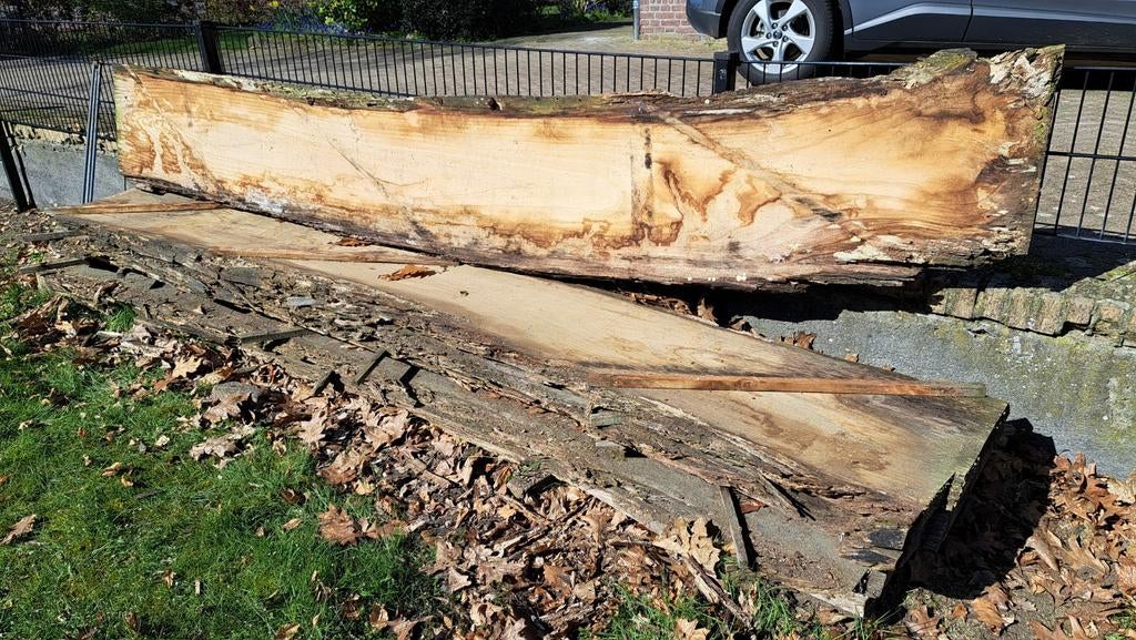 Boomstamplanken AM EIK  5cm dik 4m lang 44cm breed, Ophalen, Eiken, Plank, 50 mm of meer