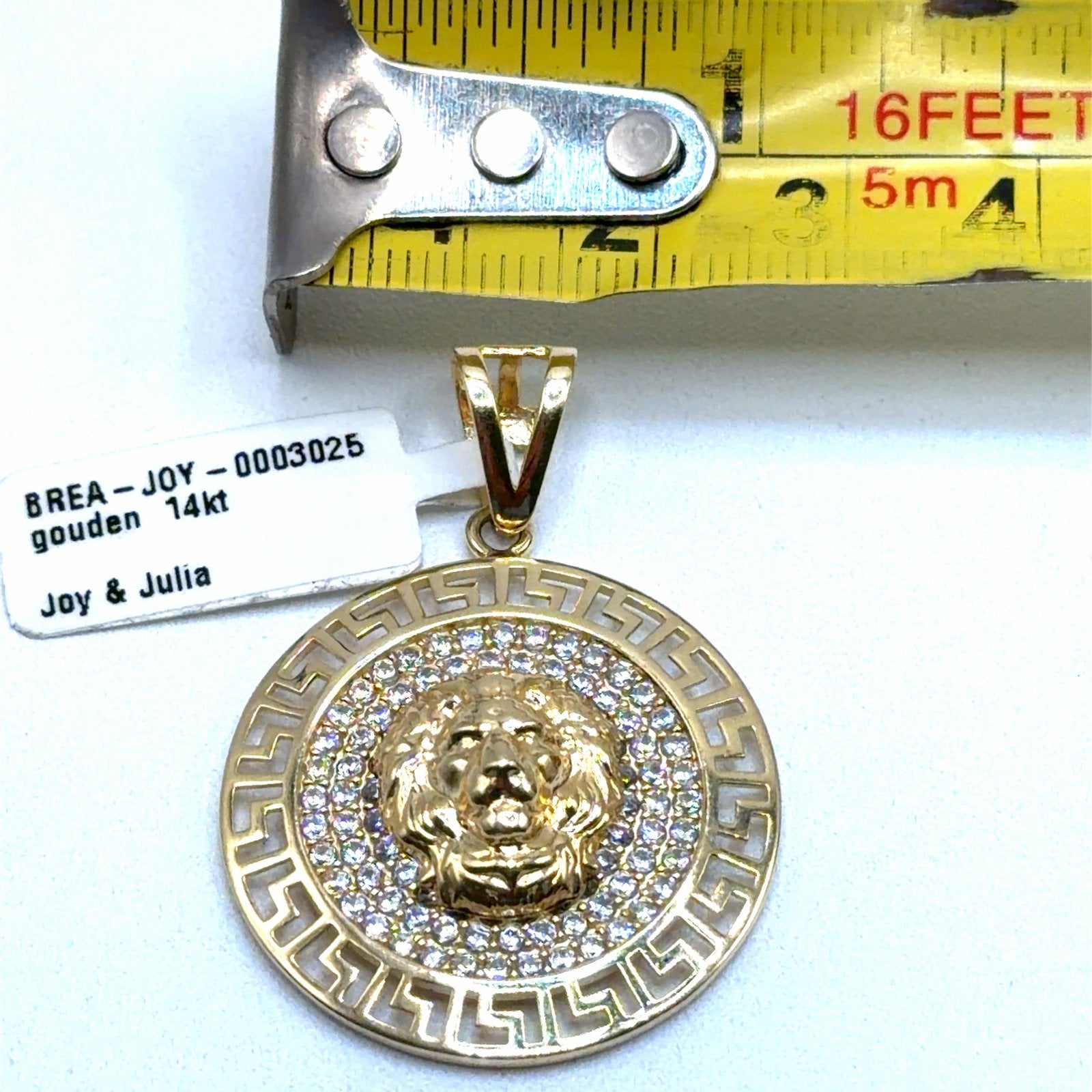 Gouden Leeuwenkop Hanger met Zirkonia - 14kt, W, Nieuw, Ophalen of Verzenden, W