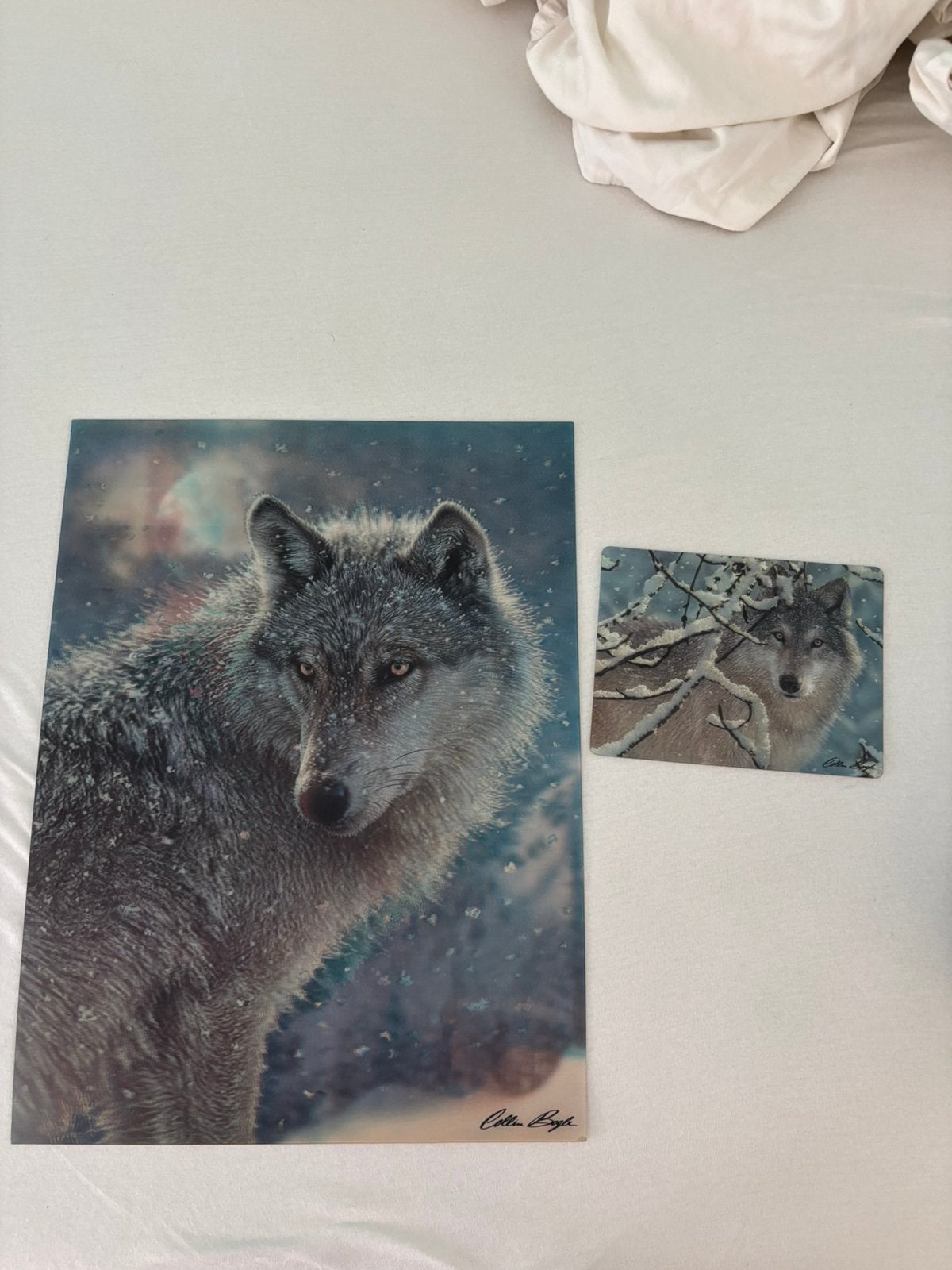 Wolvenfoto’s 3D, Ophalen of Verzenden, 1980 tot heden, Paard