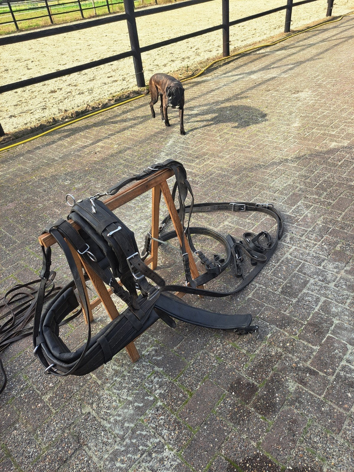 ideal compleet marathon tuig maat full, Dieren en Toebehoren, Ophalen, Gebruikt, Mentuig, Full