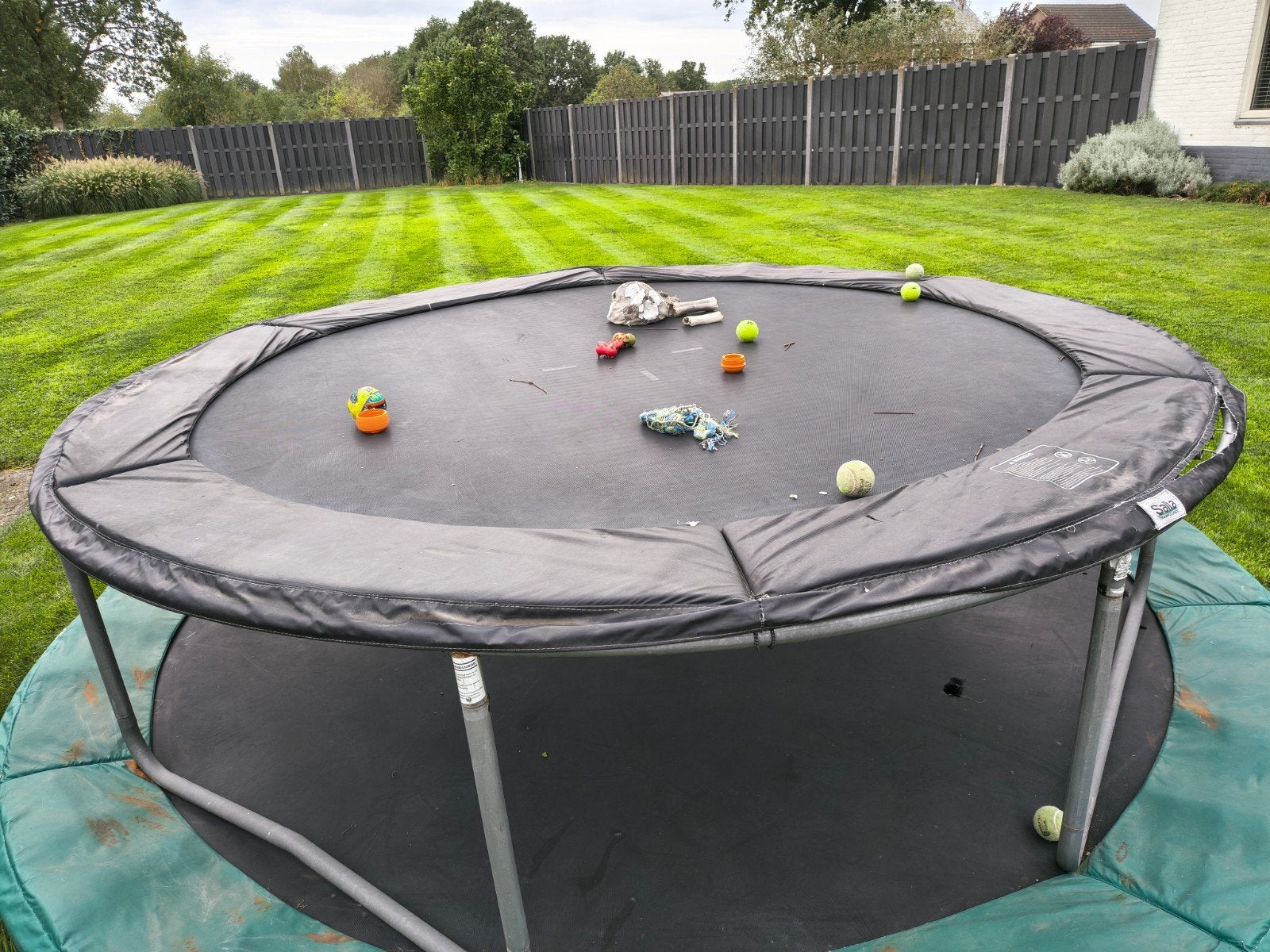 Trampoline 300cm - Springdoek goed, rand slijtage, Ophalen, Gebruikt