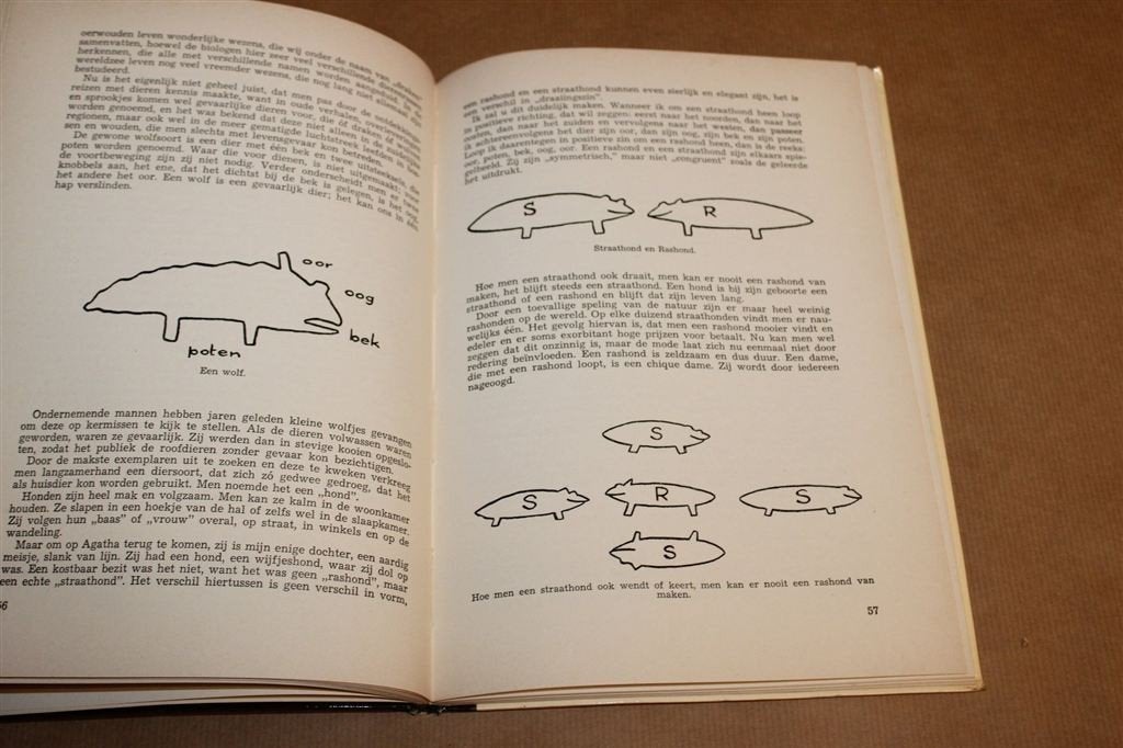 Bolland en Platland — Roman over de Vierde Dimensie 1957, Boeken, Ophalen of Verzenden, Gelezen, Natuurwetenschap