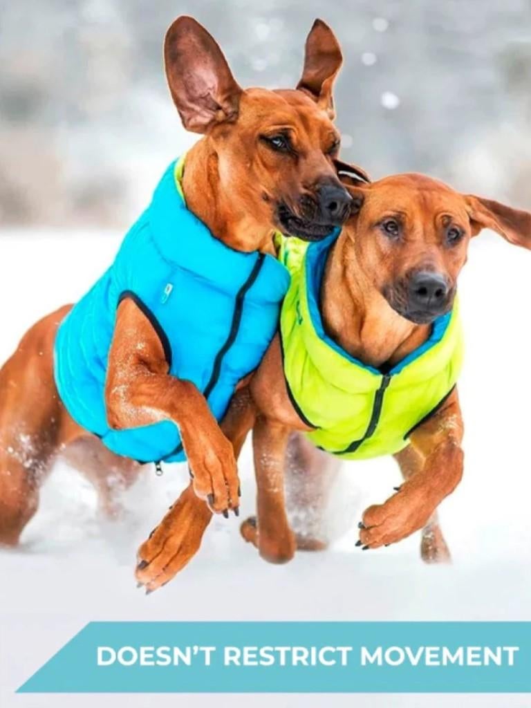 AiryVest Hondenjas Omkeerbaar M50 Lightgreen-Blue -50%!!!, Ophalen of Verzenden, Nieuw, Hondenjas