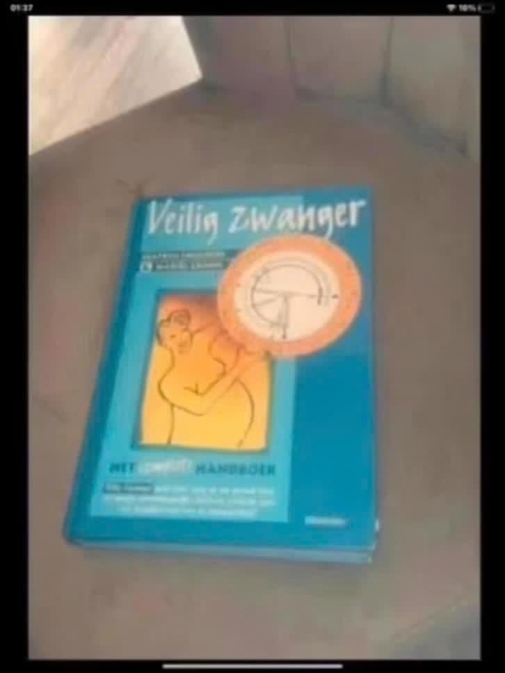 Veilig zwanger, Verzenden, Zo goed als nieuw, Zwangerschap en Bevalling