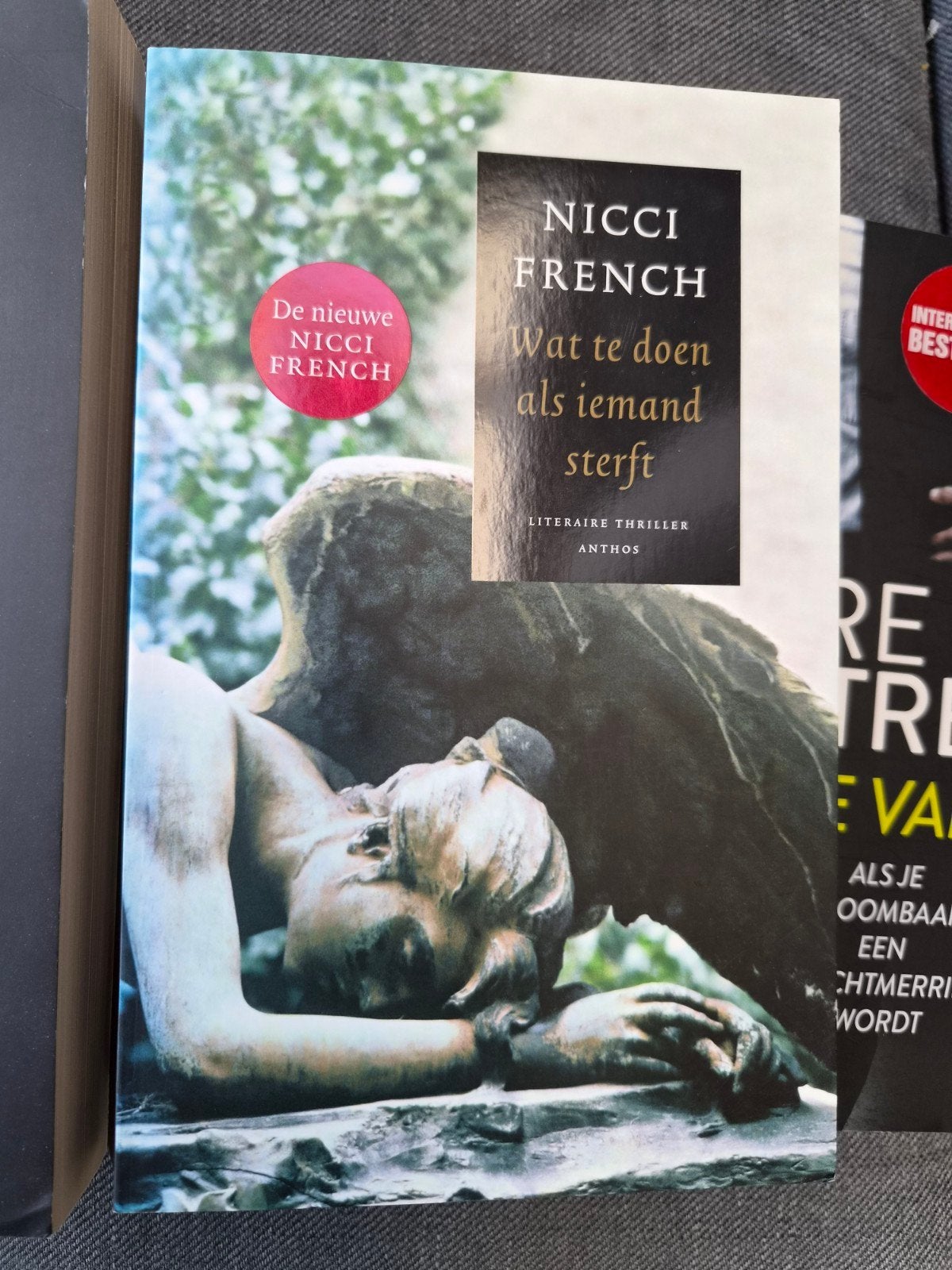 Nicci French - Wat te doen als iemand sterft, Boeken, Ophalen of Verzenden, Gelezen, Nicci French, Europa overig