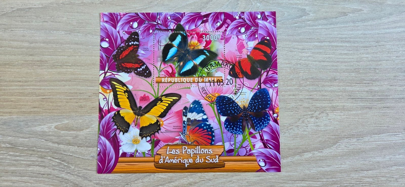 01 vlinders, Ophalen of Verzenden, Dier of Natuur