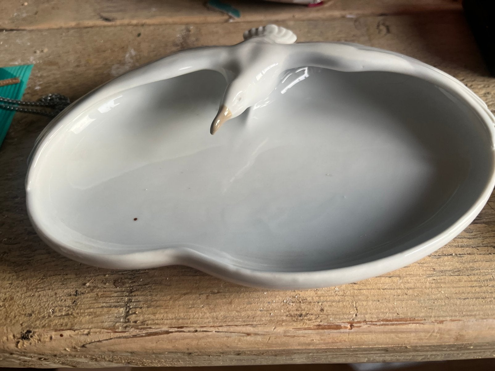 Schelp met zeemeeuw: schaaltje, Ophalen of Verzenden