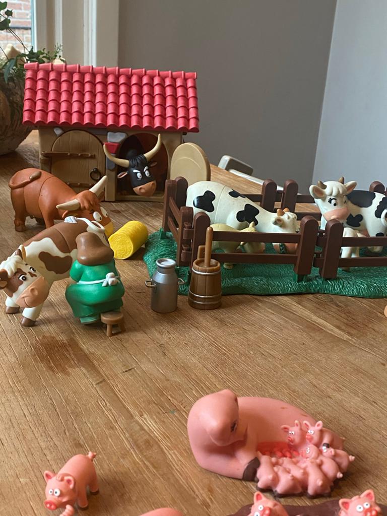 Grote set boerderijdieren en figuren, Ophalen, Zo goed als nieuw, Poppenhuis
