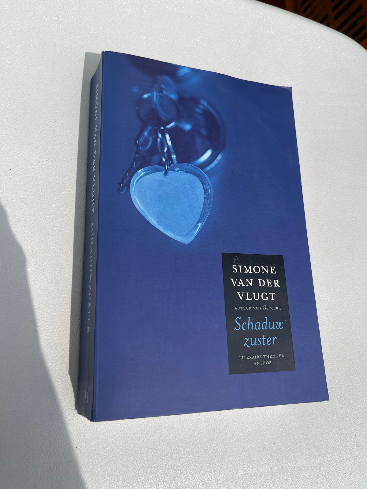 Simone van der Vlugt - Schaduwzuster (Literaire thriller), Boeken, Ophalen of Verzenden, Zo goed als nieuw, Nederland