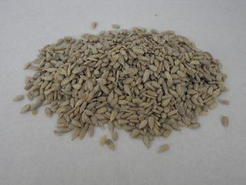 25kg gepelde zonnepitten voor de buitenvogels alleen afhalen, Ophalen, Nieuw, Nvt, Eten en Drinken