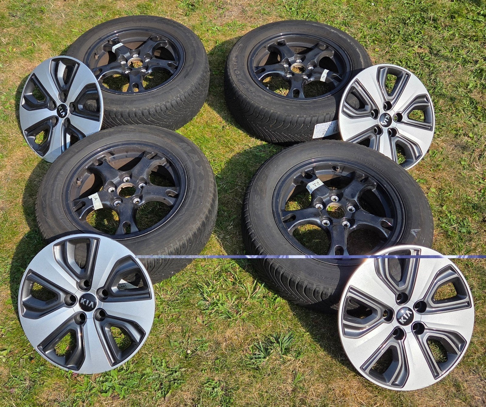 Kia Niro Velgen met TPMS Sensoren en Wieldoppen (2018), Auto diversen, Wieldoppen, Ophalen, Gebruikt