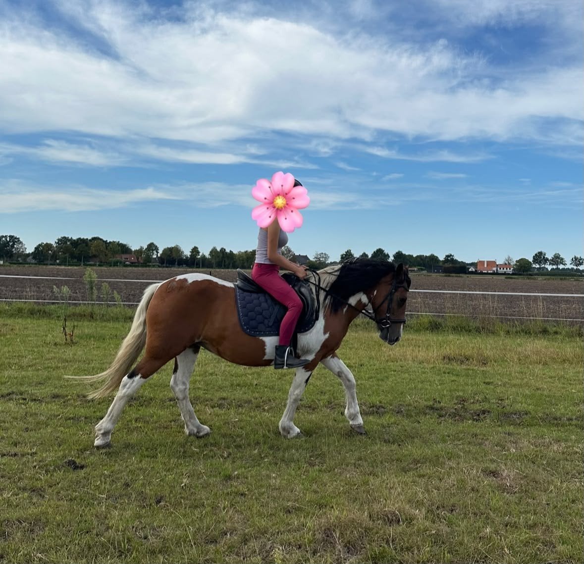 Super lieve bonte 💣proof kinderpony😍😍!!!, Minder dan 160 cm, B, 11 jaar of ouder, Recreatiepaard