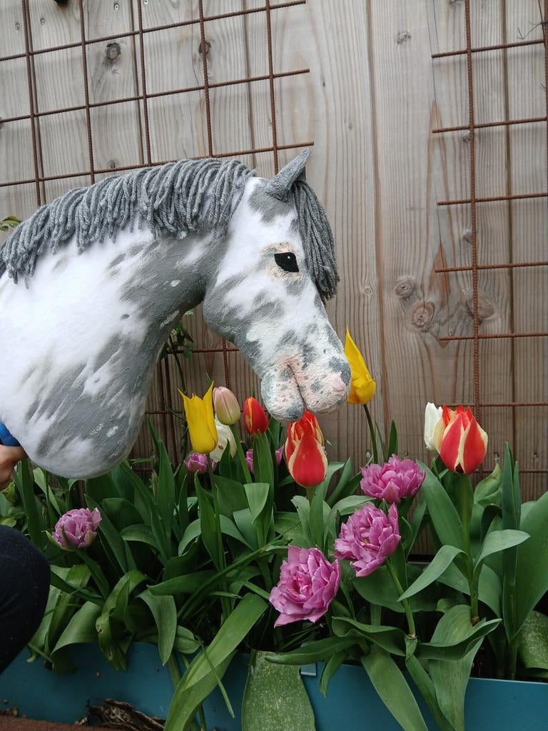Mooie hobbyhorse, Ophalen of Verzenden, Zo goed als nieuw