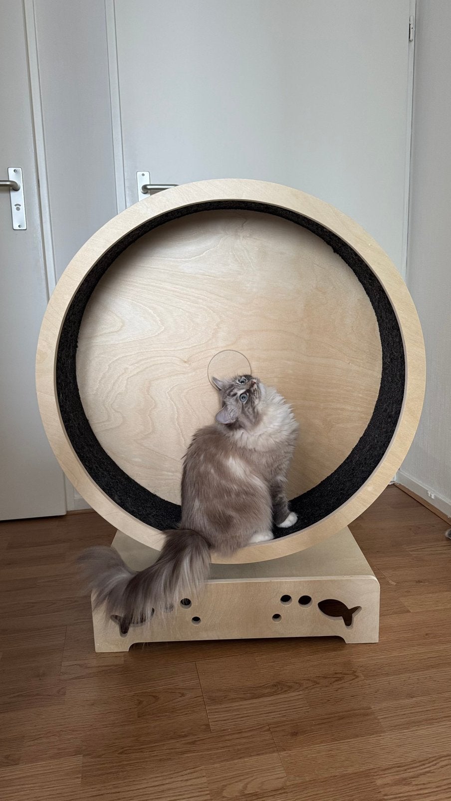Loopwiel katten, Dieren en Toebehoren, Ophalen, Zo goed als nieuw
