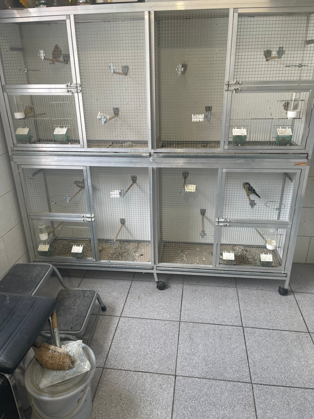 Aluminium kweek kooien izgst, Ophalen of Verzenden, Zo goed als nieuw, Aluminium, Broedkooi of Kweekkooi