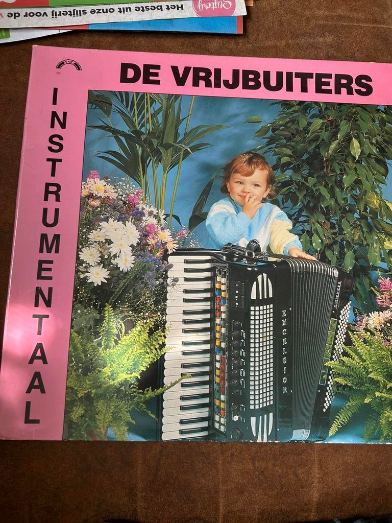 De Vrijbuiters - instrumentaal, Ophalen of Verzenden, Zo goed als nieuw, Overige formaten, Levenslied of Smartlap