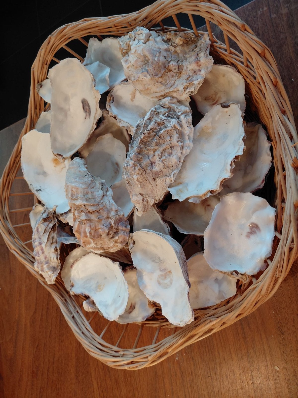 46 stuks oesterschelpen voor decoratie of knutselen, Ophalen, Gebruikt
