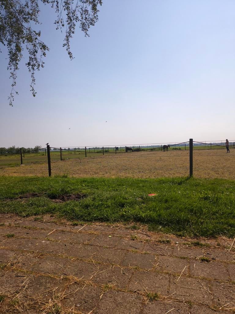 Paarden trainer gezocht aan huis