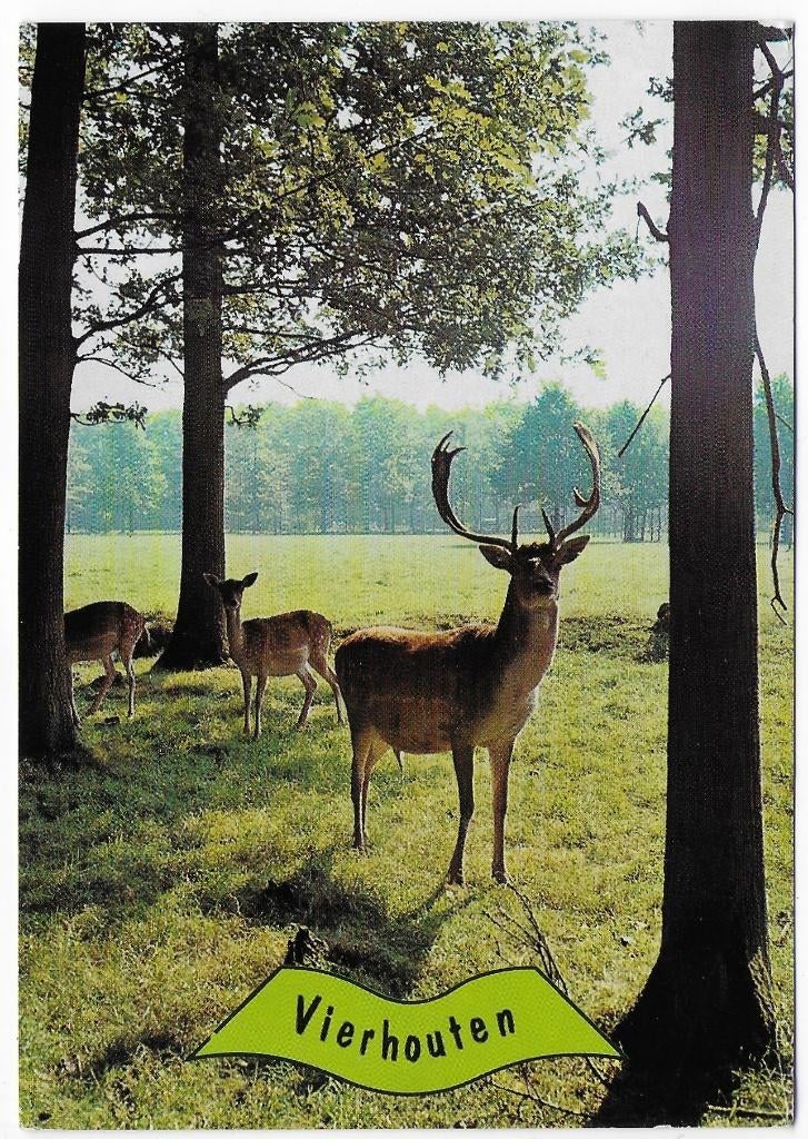Vierhouten Gelopen Ansichtkaart ( B5329 ), Verzenden, 1980 tot heden, Gelopen
