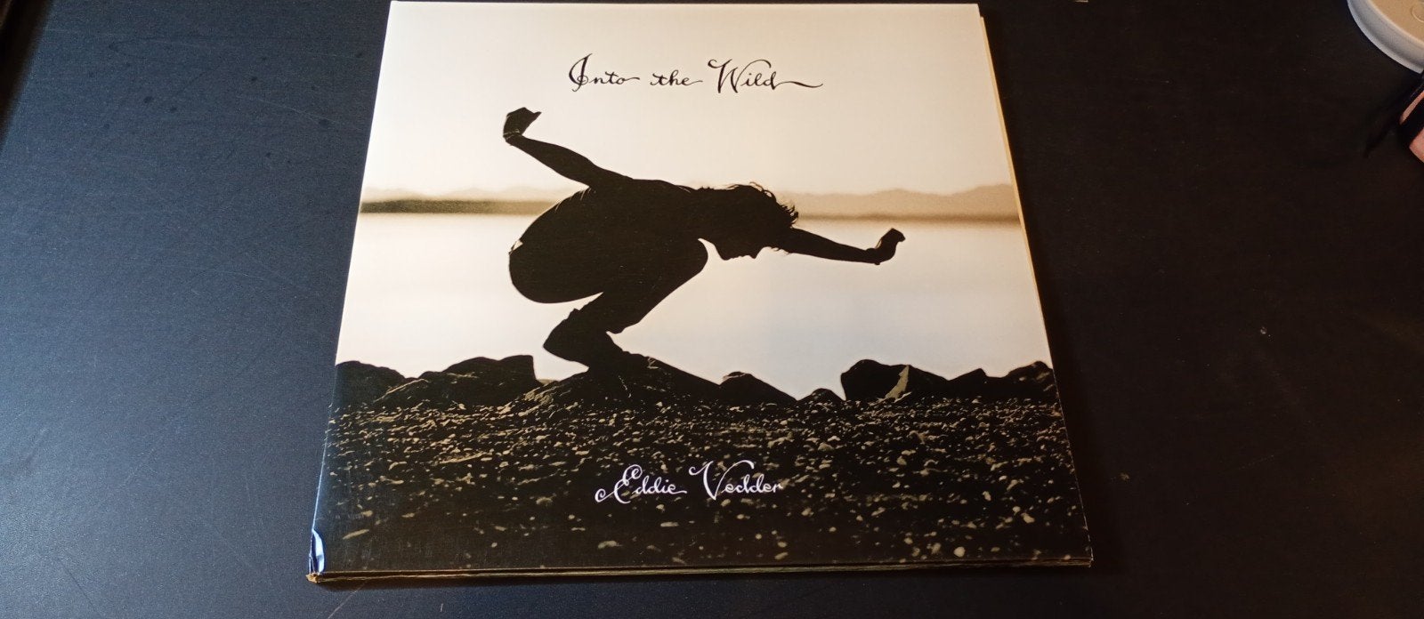 Eddie Vedder - Into the Wild, Cd's en Dvd's, Ophalen of Verzenden, Gebruikt, Overige formaten, Poprock