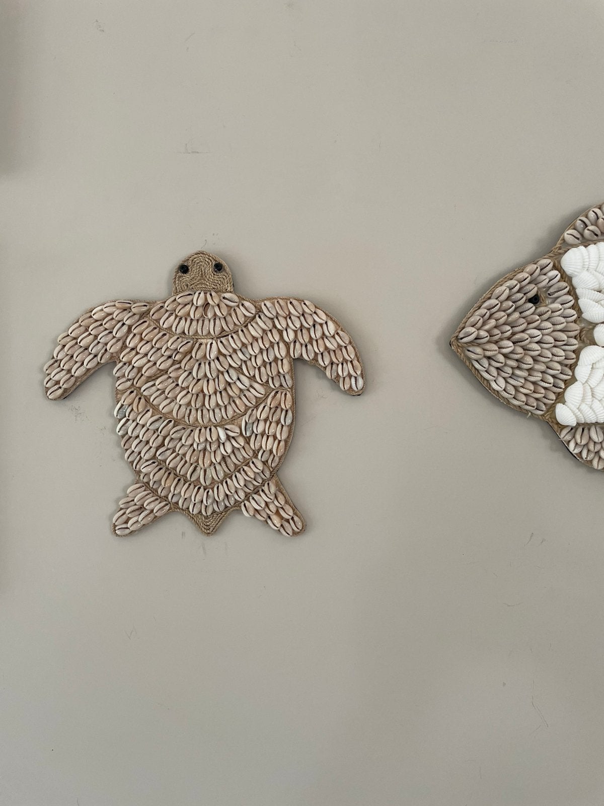 Nieuw schelpen schildpad, Ophalen of Verzenden, Nieuw