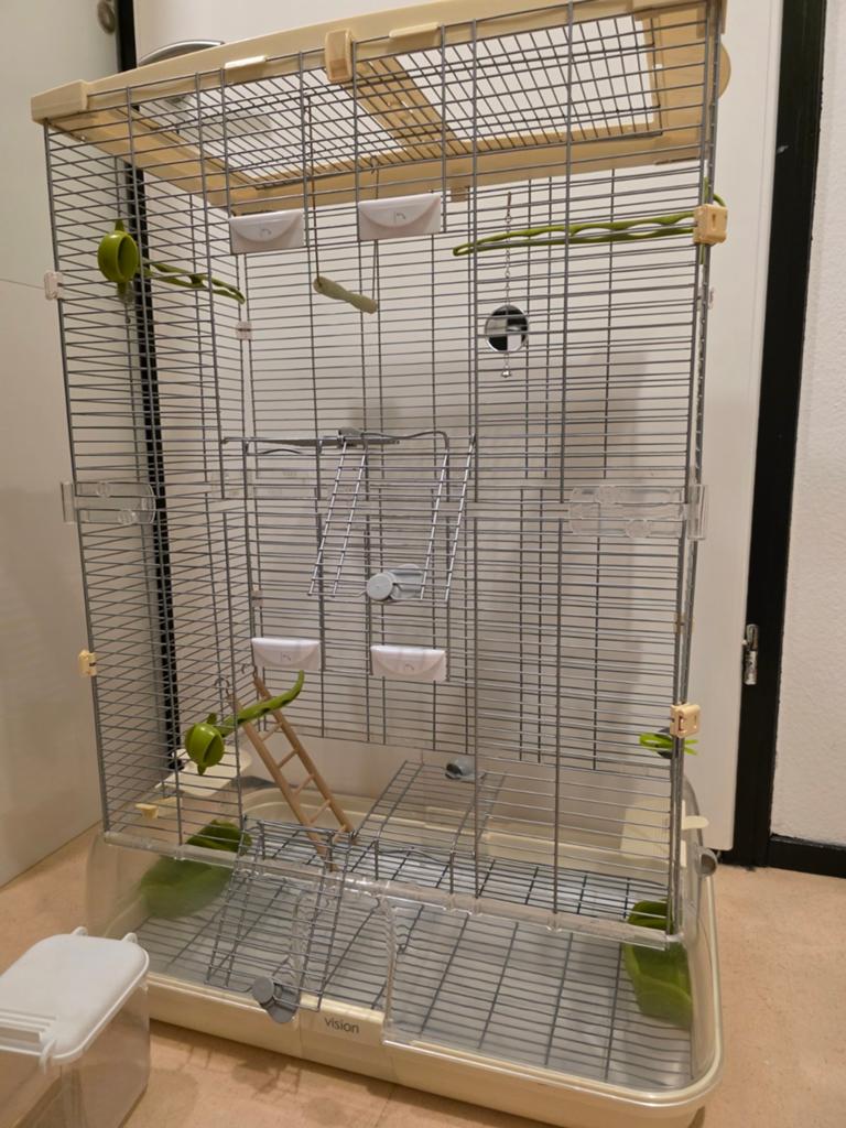 Te koop: grote, stevige vision vogelkooi., Ophalen, Zo goed als nieuw, Metaal, Vogelkooi