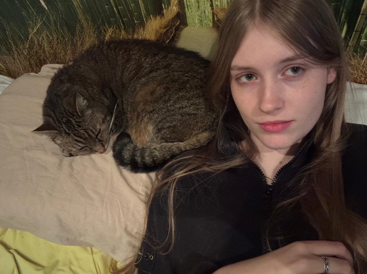KATTENOPPAS AANGEBODEN, Ophalen, Nieuw