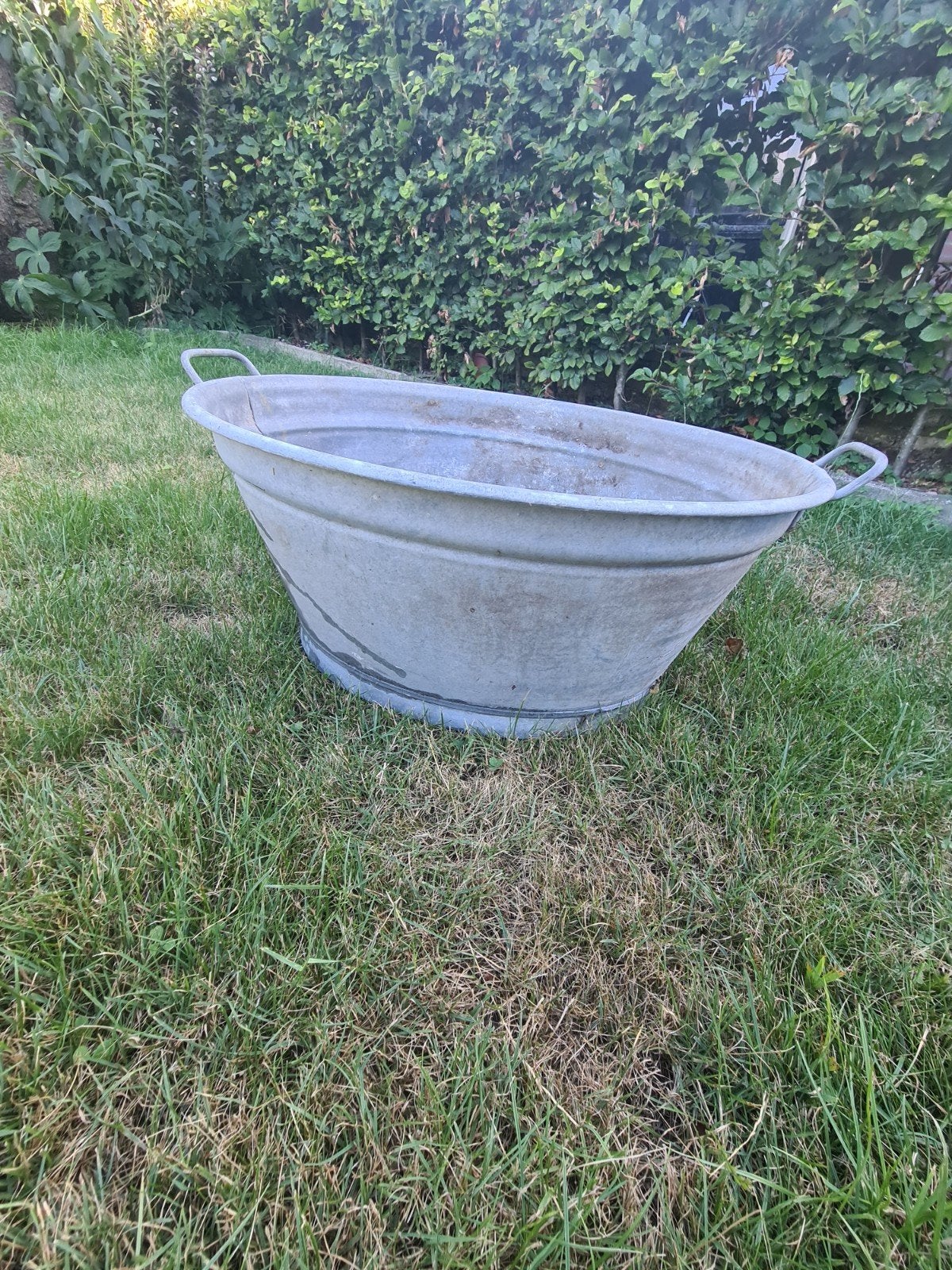 Zinken teil, Tuin en Terras, Ophalen, Gebruikt, Metaal, 30 tot 60 cm