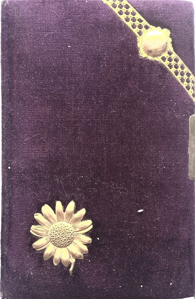 poezie album 1901, Boeken, Gedichten en Poëzie, Ophalen of Verzenden, Zo goed als nieuw, Meerdere auteurs