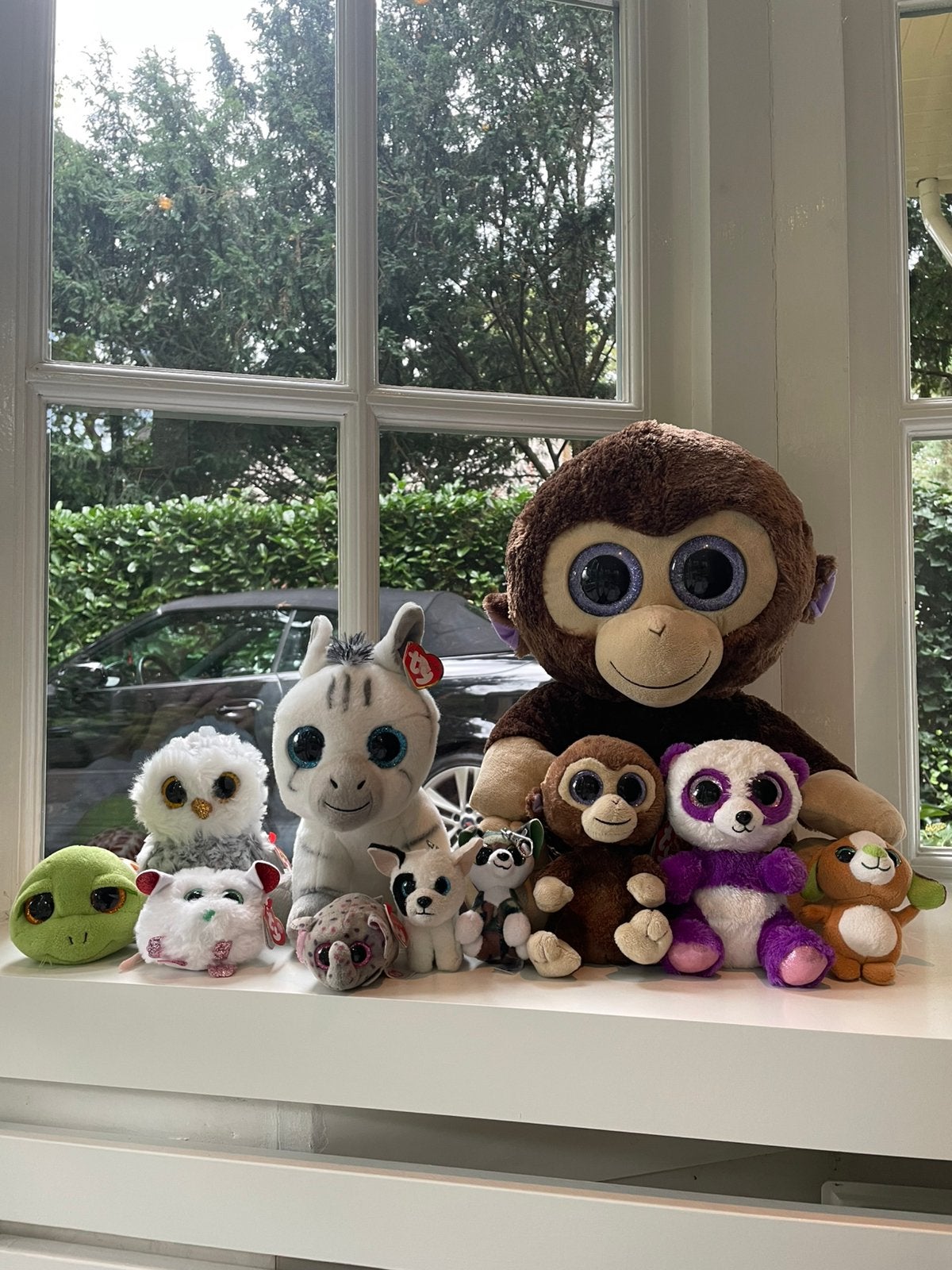 Diverse ty knuffles (glitteroogjes) (apart verkrijgbaar), Ophalen of Verzenden, Zo goed als nieuw, Overige typen