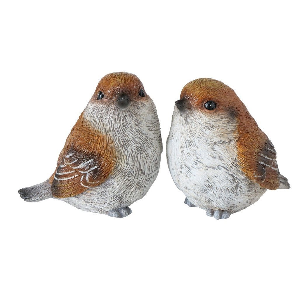VOGELTJES - COBIE - BOLTZE, Ophalen of Verzenden, Nieuw