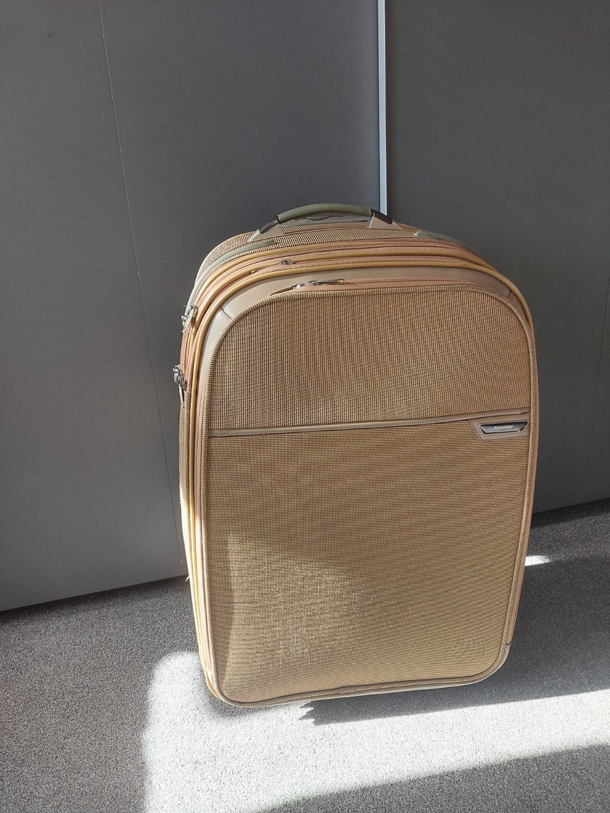 Mooie grote reiskoffer trolley koffer, Sieraden, Tassen en Uiterlijk, Ophalen, Zo goed als nieuw