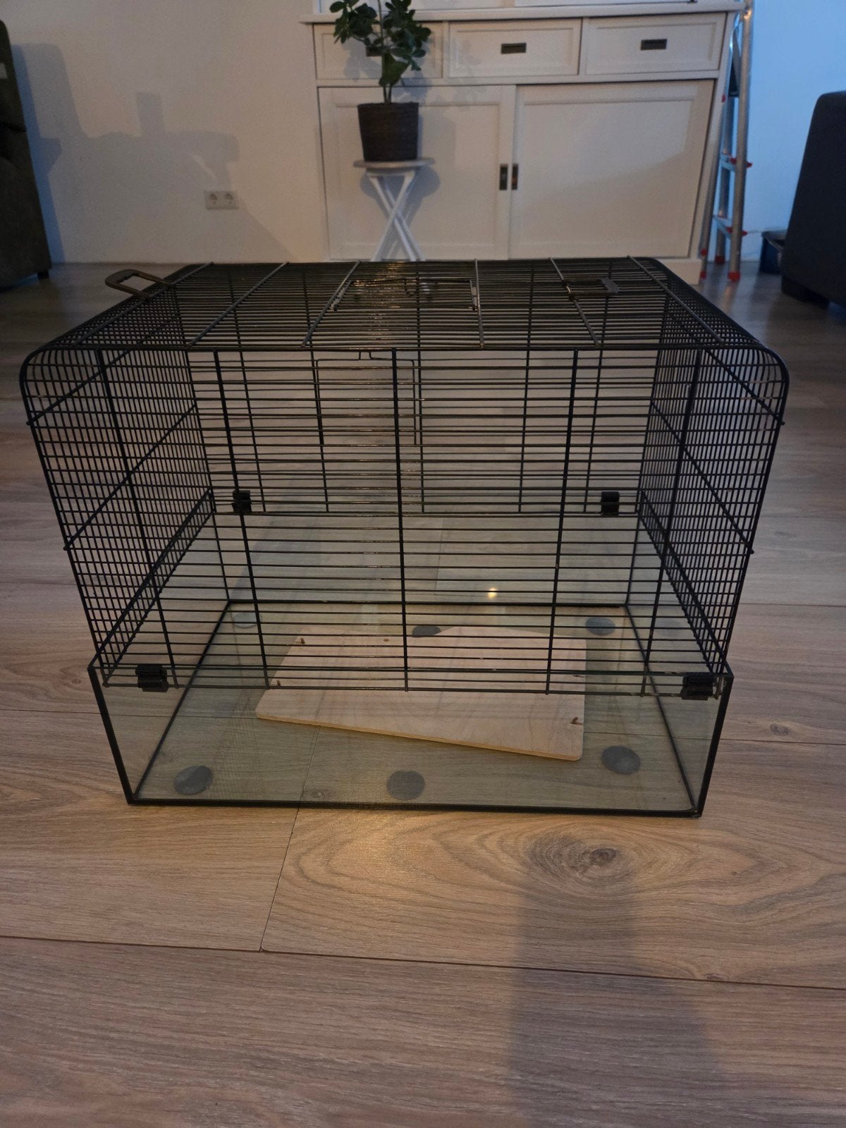 Gratis knaagdieren kooi, Dieren en Toebehoren, Kooi, Gebruikt, Minder dan 75 cm, Ophalen