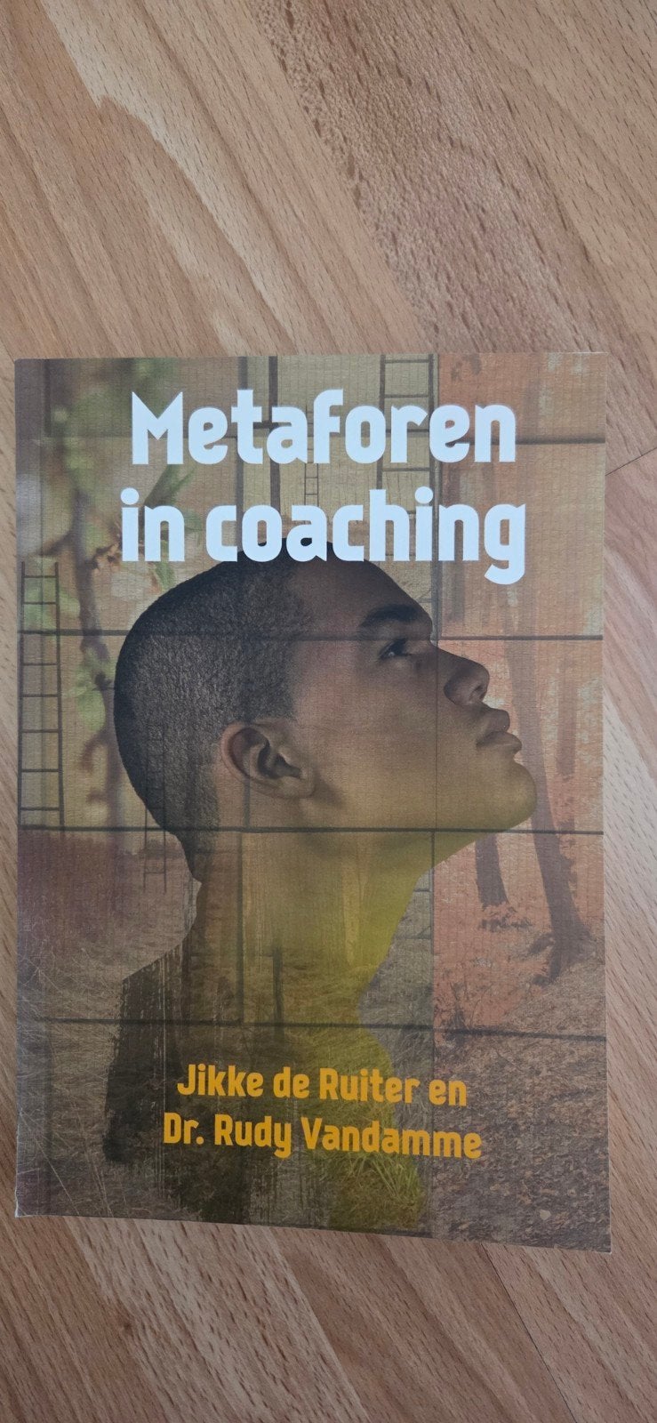 Jikke de Ruiter - Metaforen in coaching, Ophalen of Verzenden, Zo goed als nieuw, Jikke de Ruiter; Rudy Vandamme, Nederlands