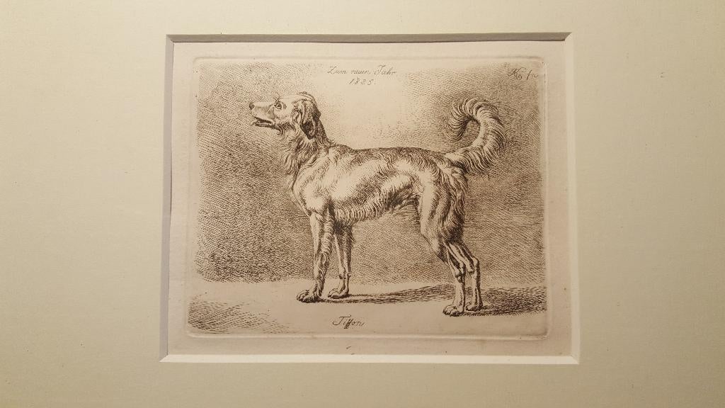 Ets - Nieuwjaarskaart 1825 met hond, Ophalen of Verzenden