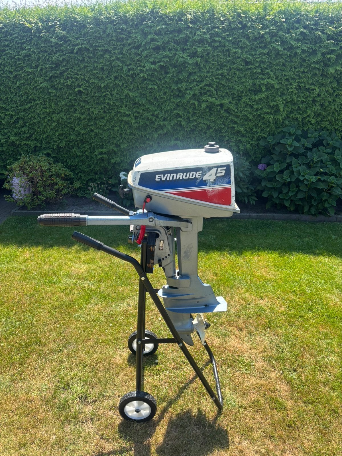 Evinrude 4.5, Ophalen, Gebruikt, Minder dan 5 pk, Buitenboordmotor