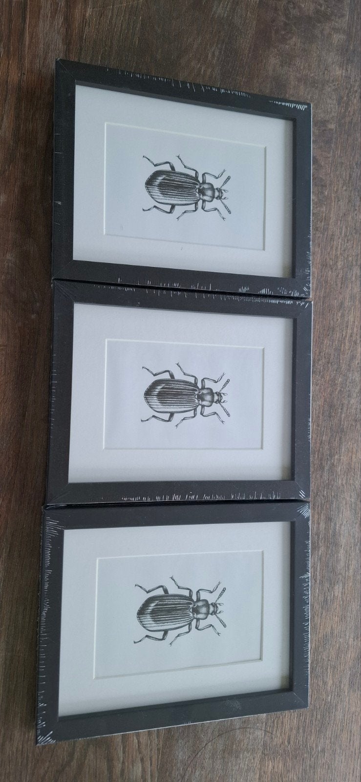 Set van 3 fotolijstjes, Kunststof, Nieuw, Met afbeelding, Zwart