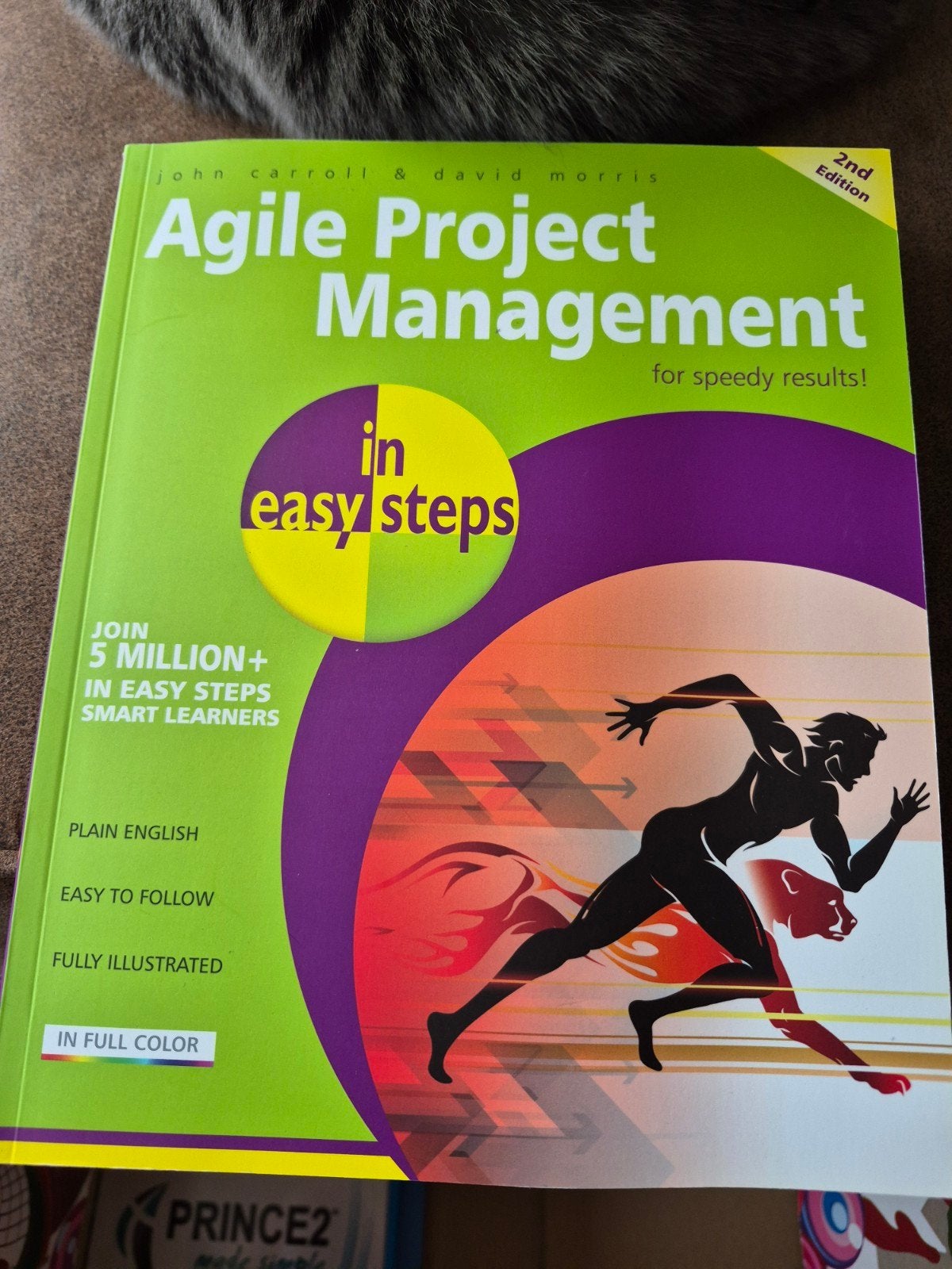 Agile Project Management in easy steps - 2nd Edition, Ophalen of Verzenden, Zo goed als nieuw, John Carroll & David Morris, Gamma