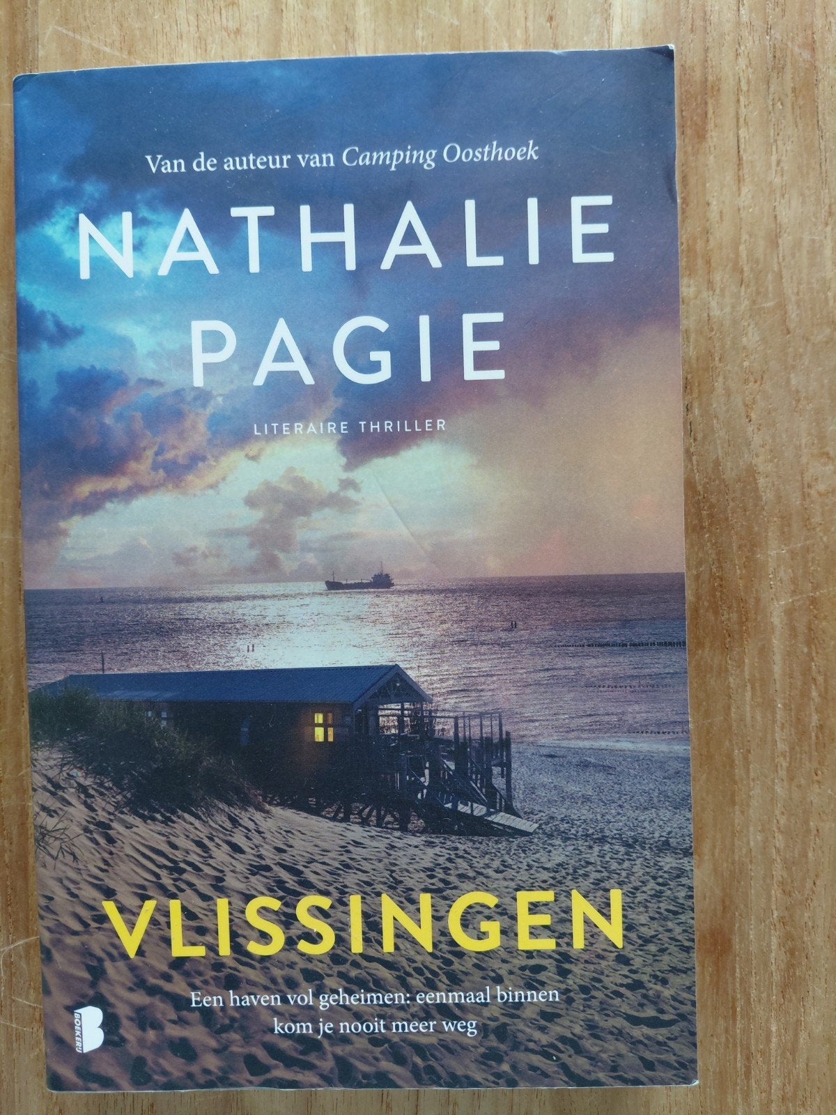Vlissingen - Nathalie Pagie (Literaire thriller), Boeken, Ophalen of Verzenden, Gelezen, Nathalie Pagie, Nederland