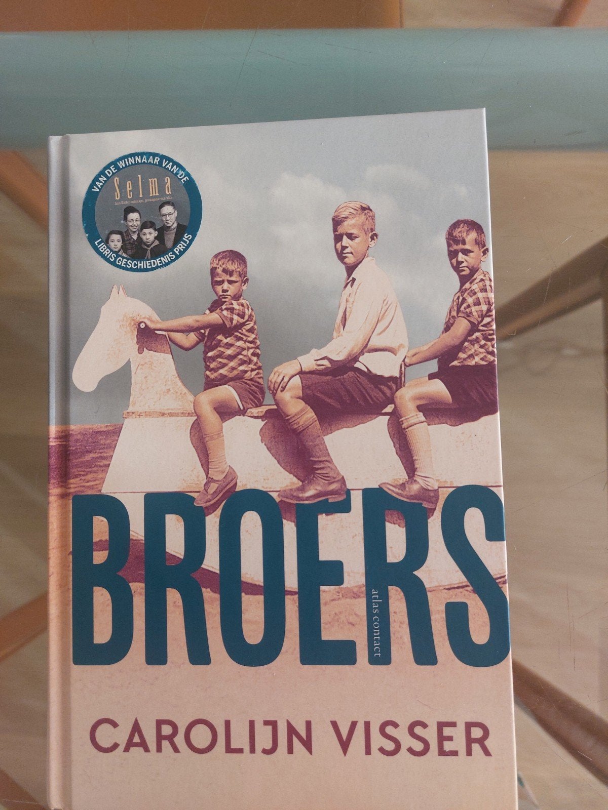 Broers - Carolijn Visser (Boek), Ophalen, Zo goed als nieuw, Carolijn Visser, Nederland