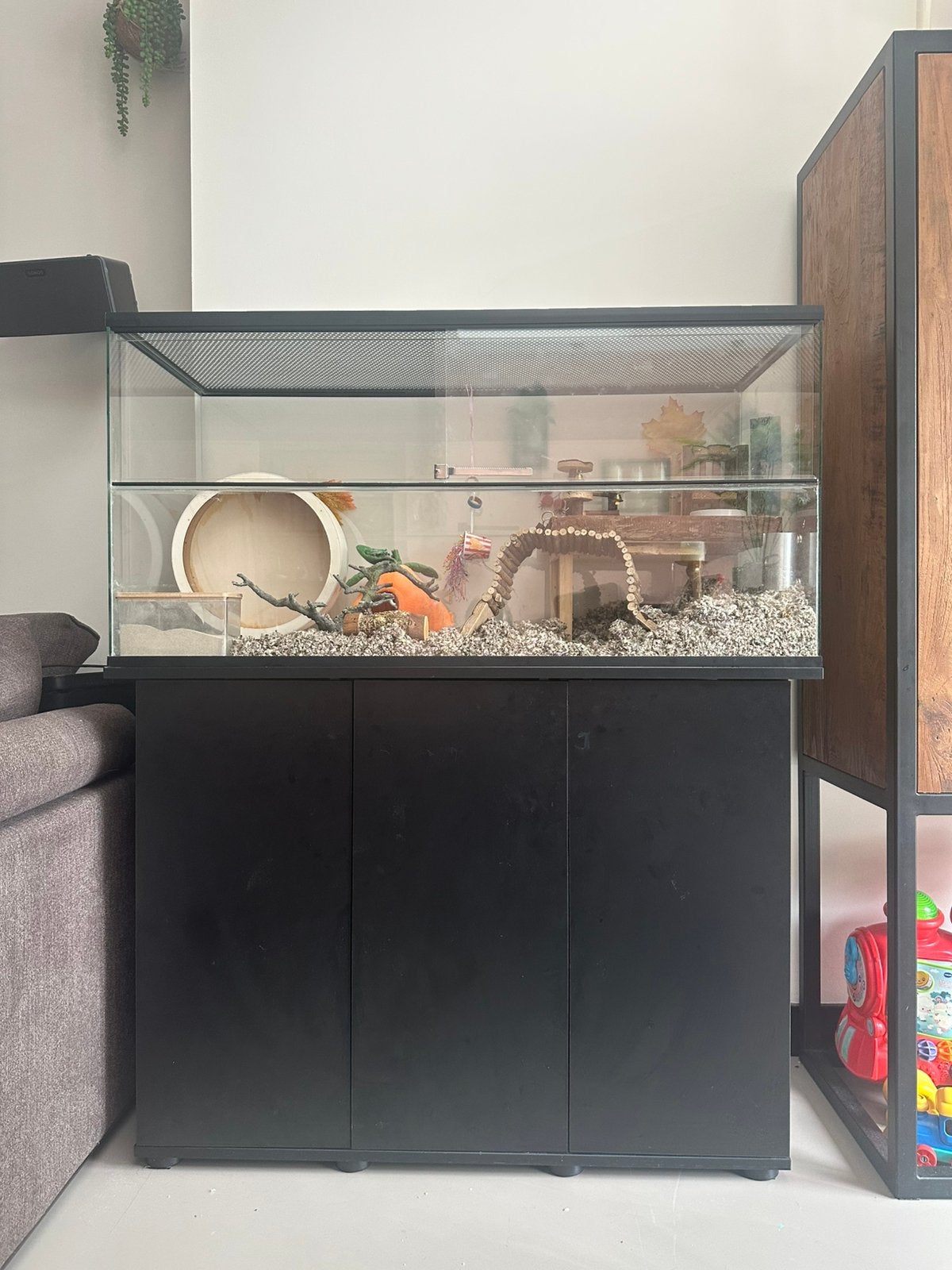 Glazen terrarium incl. kast voor knaagdier, Ophalen, Kooi, 90 cm of meer, 75 tot 110 cm