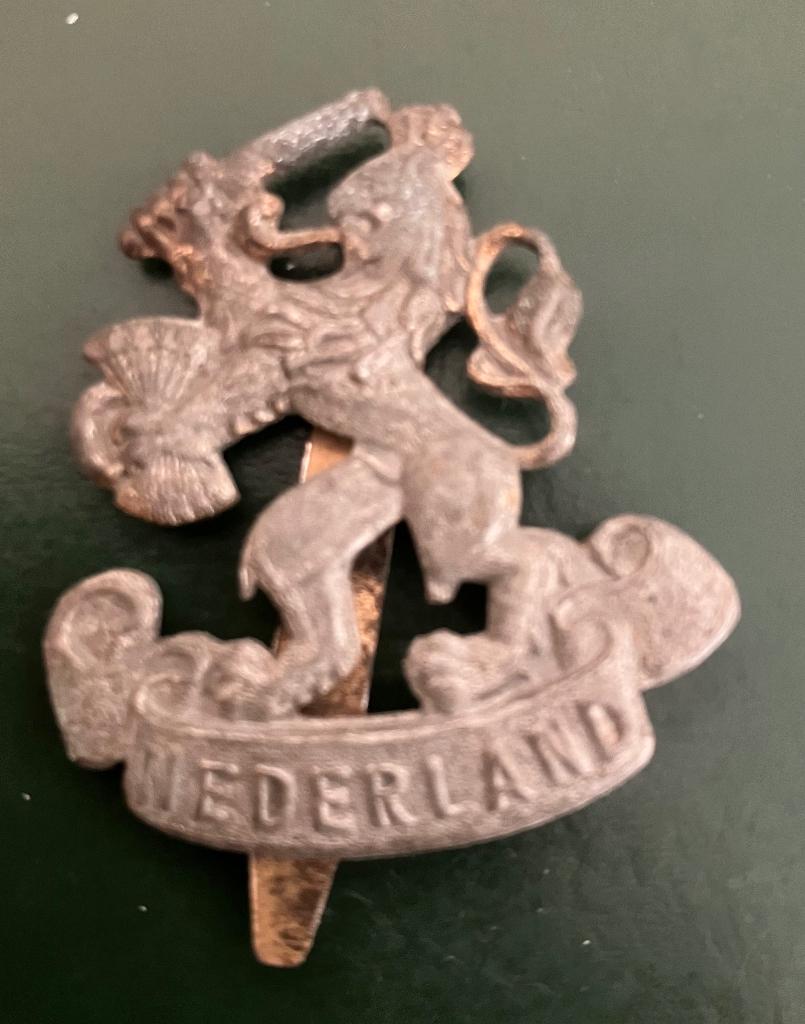 Pet leeuw, Ophalen of Verzenden, Landmacht, Nederland, Helm of Baret