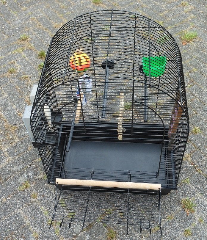 Mooie vogelkooi afm.  63 x 45 x27 cm voor b.v. span tropen, Mannelijk