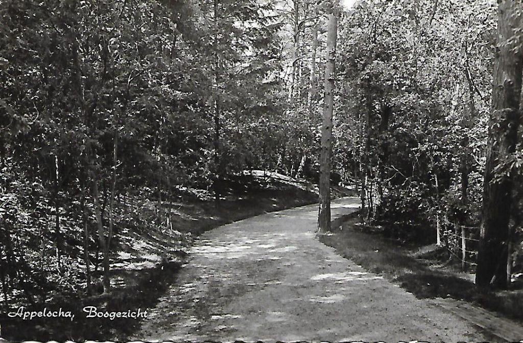 Appelscha- -Bosgezicht., Verzenden, 1960 tot 1980, Gelopen, Friesland